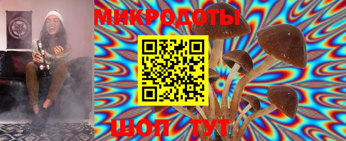 Псилоцибиновые грибы MAGIC MUSHROOMS Рузаевка